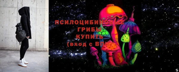 прущие грибы Верхнеуральск