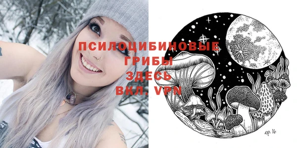 тгк Верхний Тагил
