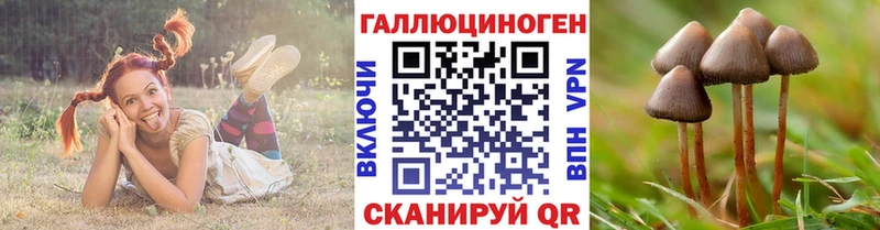 Псилоцибиновые грибы Psilocybe  Карабаново 